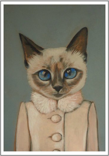 "Одетые коты" от Хизер Метун